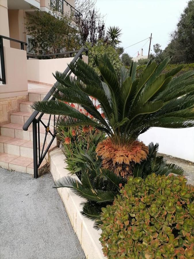 Kydoni Apartments And Studios Agia Marina Exteriör bild
