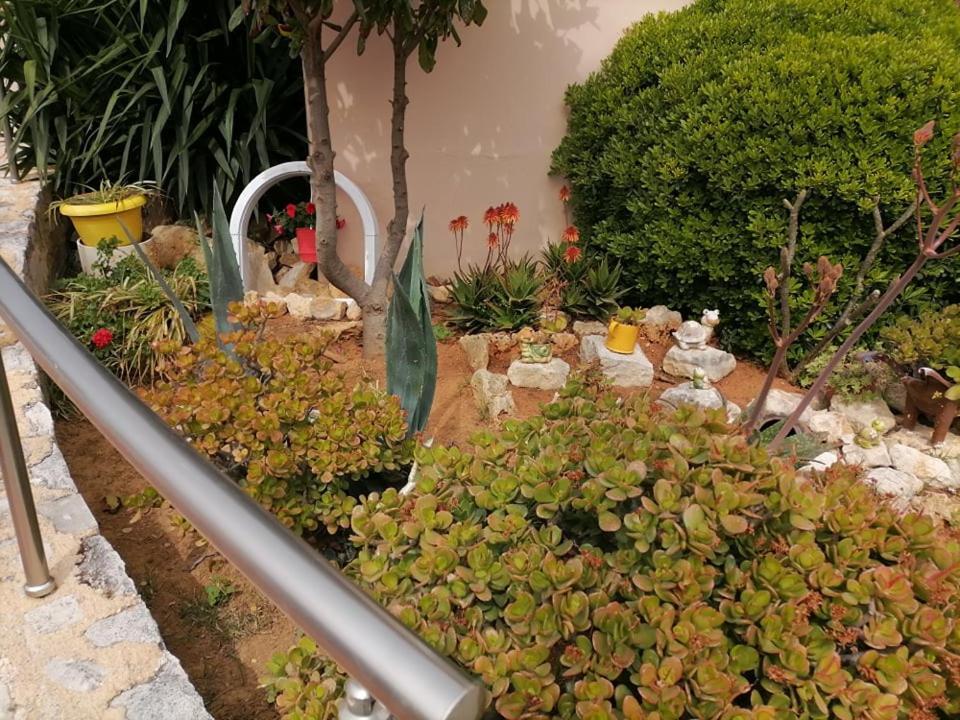 Kydoni Apartments And Studios Agia Marina Exteriör bild